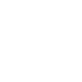 Phone White Icon